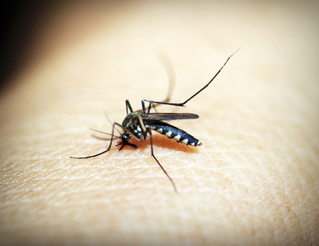 Comprehensive Guide to Managing Bee Stings in Children - Health and Safety Tips