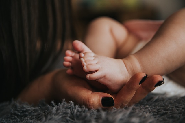Discover the Best Soft Baby Books for Early Learning and Development