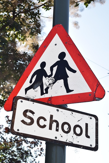 Exploring Paternal Uncertainty: Navigating the Decision for More Children